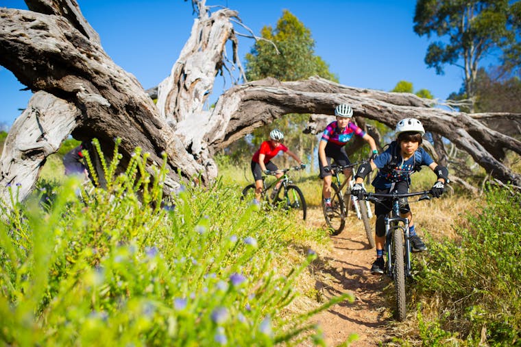 School Holiday Mountain Bike Skills Clinic South