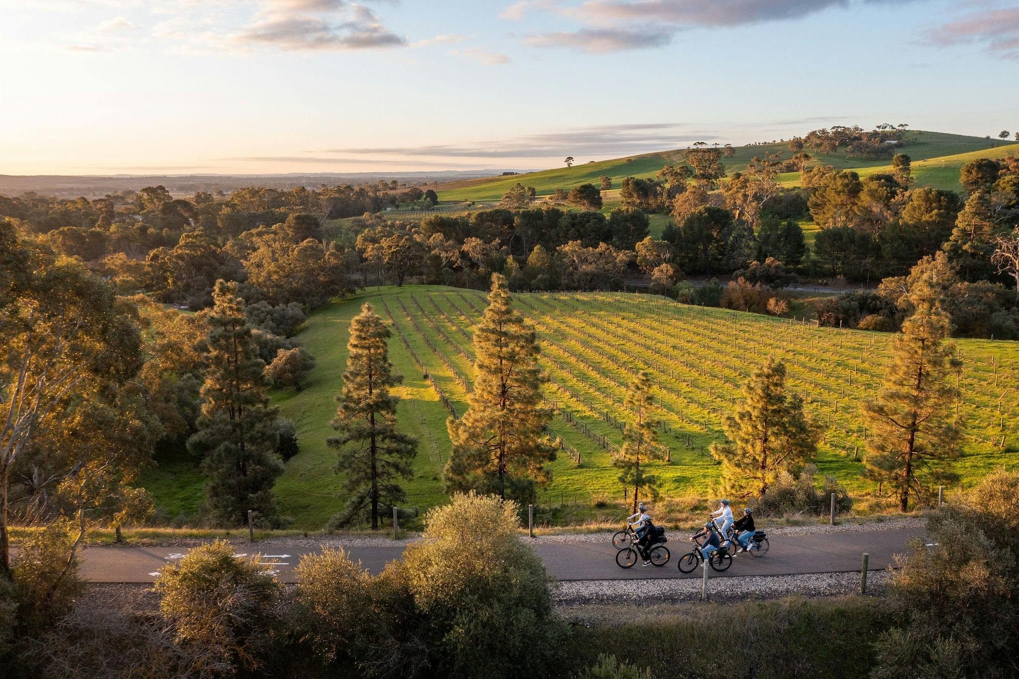 Ride through beautiful vineyards in The Barossa Valley