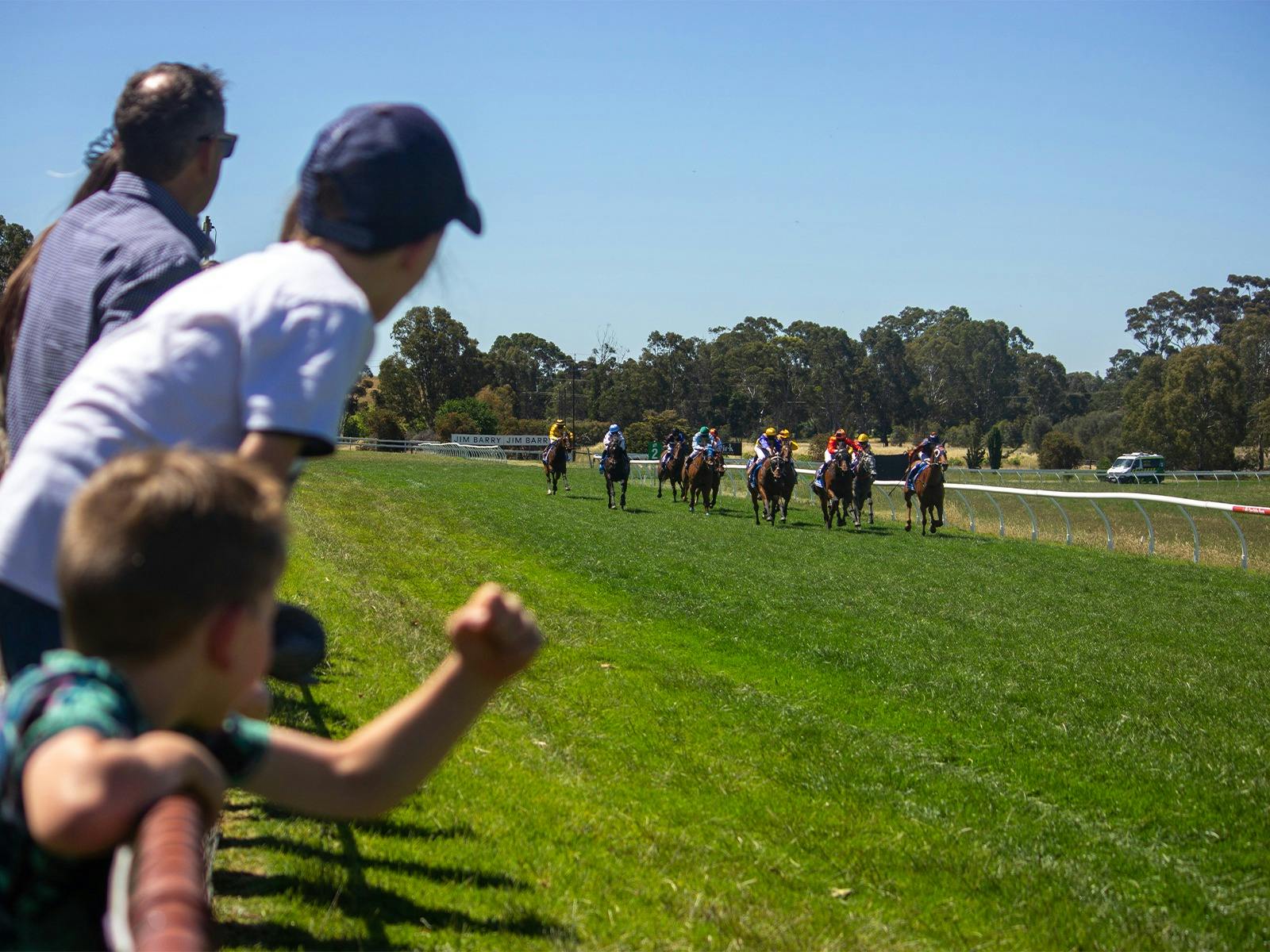 Kids on fence cheering