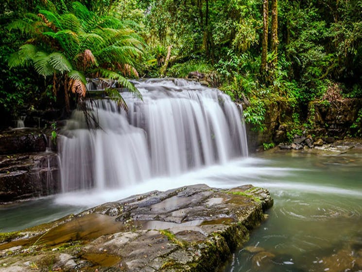 Barrington Tops