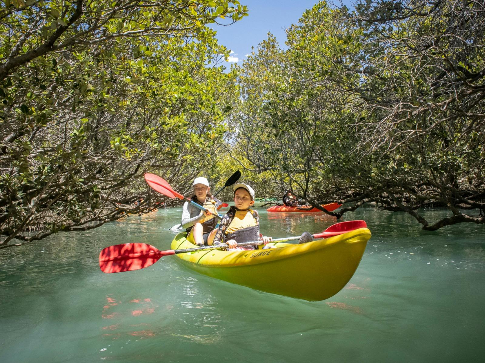Little Bunyips Dolphin Sanctuary Kayaking Adventure - School Holiday