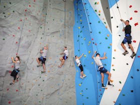 Rock Climbing on the Sunshine Coast