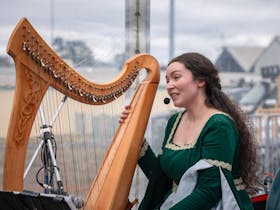 Harpist
