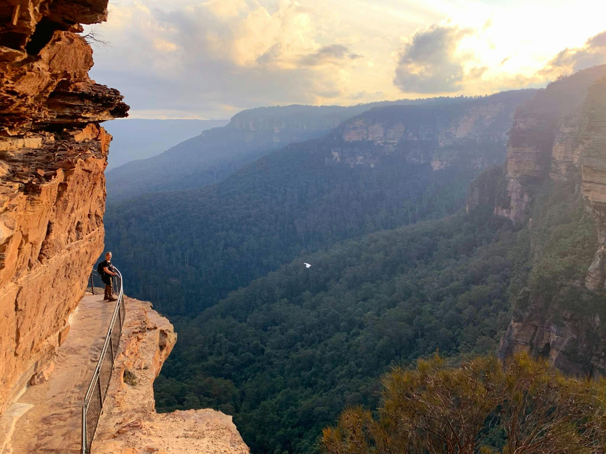 Blue Mountains Tracks and Retreats
