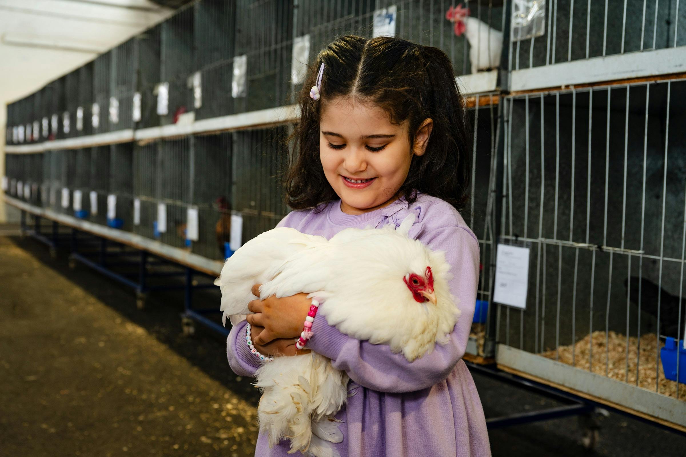 young girl in purple dress cuddling a chicken