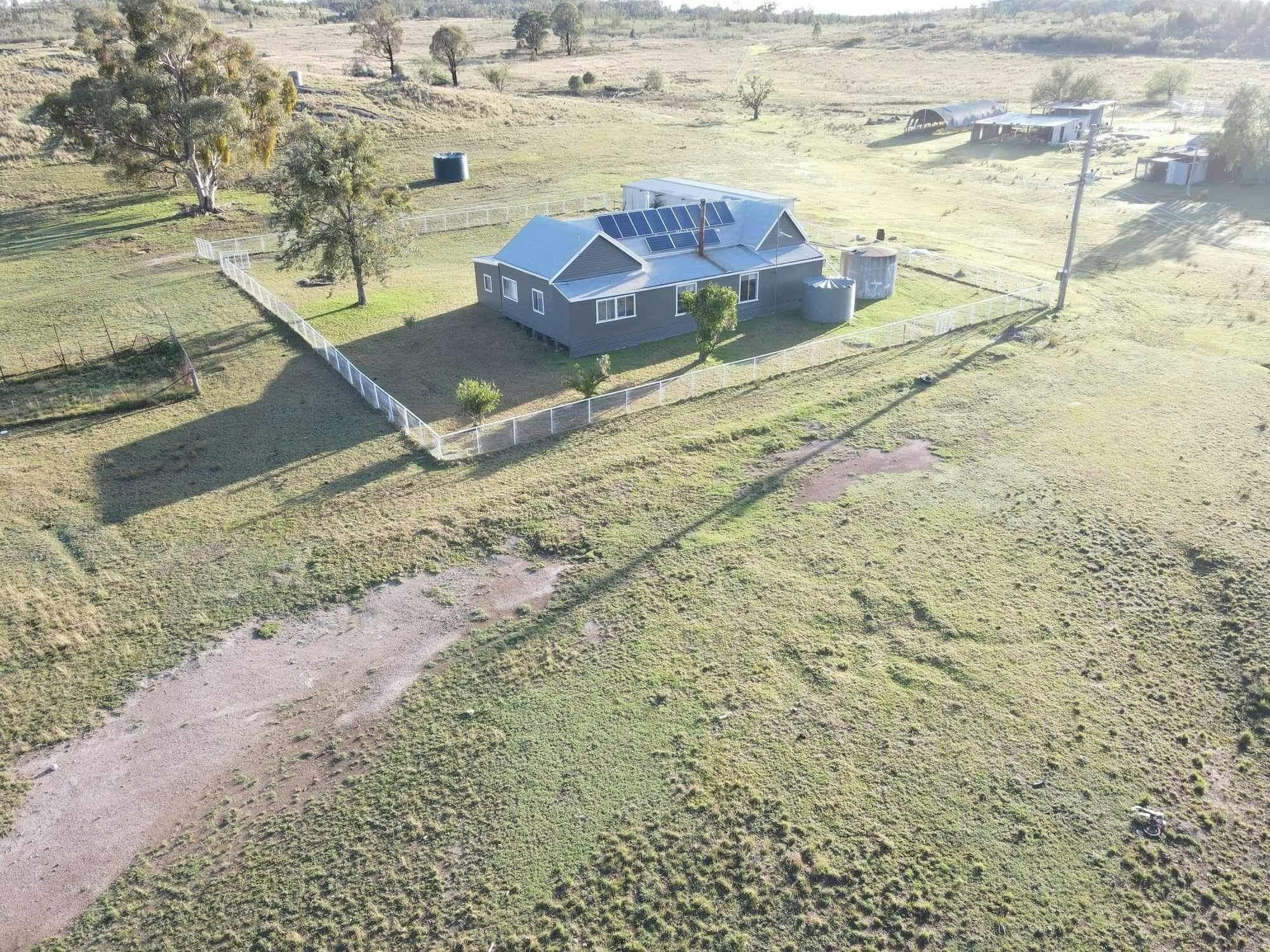 Large fenced yard, plenty of space for everybody!