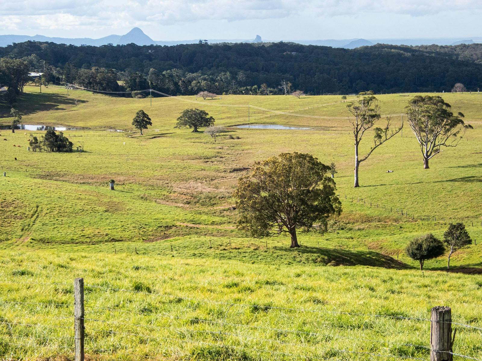 View of Glass House Mountains