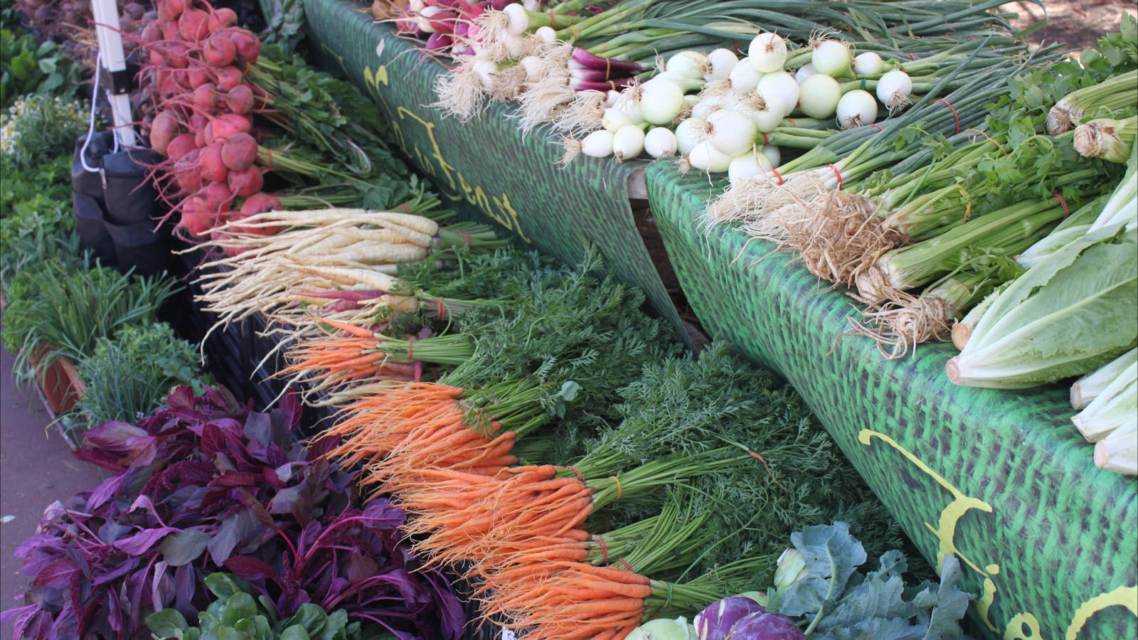 Bondi Farmers Market