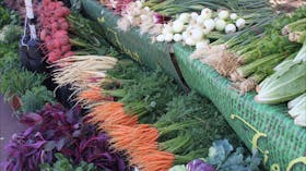 Vegetables at Bondi Farmers