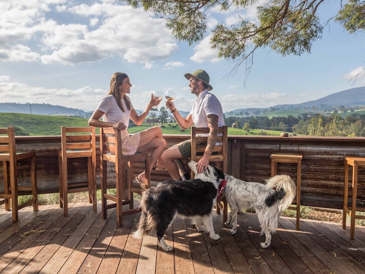 Couple enjoying a drink while patting dogs. Rolling hills and blue sky in the background.