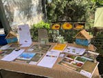 Pollinators Table