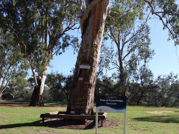 Loxton's Tree of Knowledge
