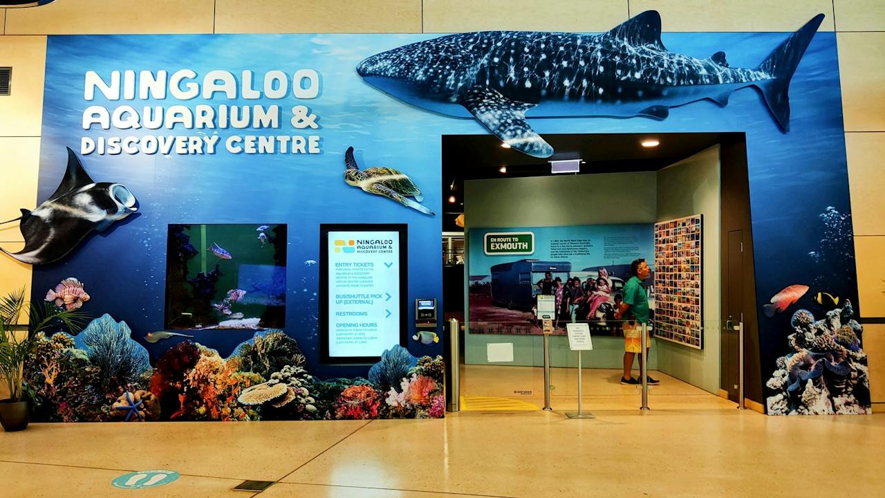 Ningaloo Aquarium and Discovery Centre