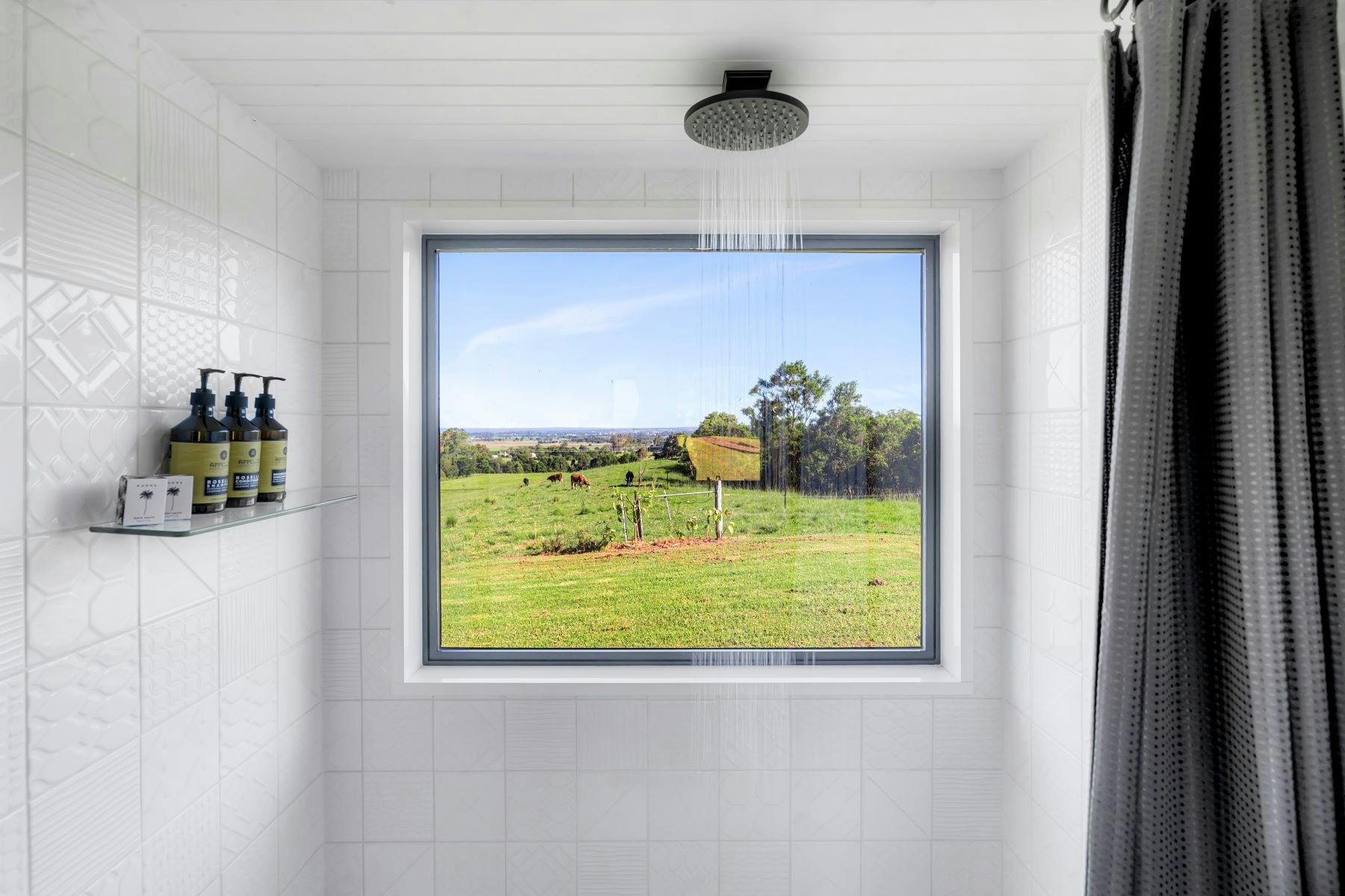 샤워 이미지. 샤워실에 창문이 있어 밖에서 소와 푸른 목초지를 볼 수 있습니다.