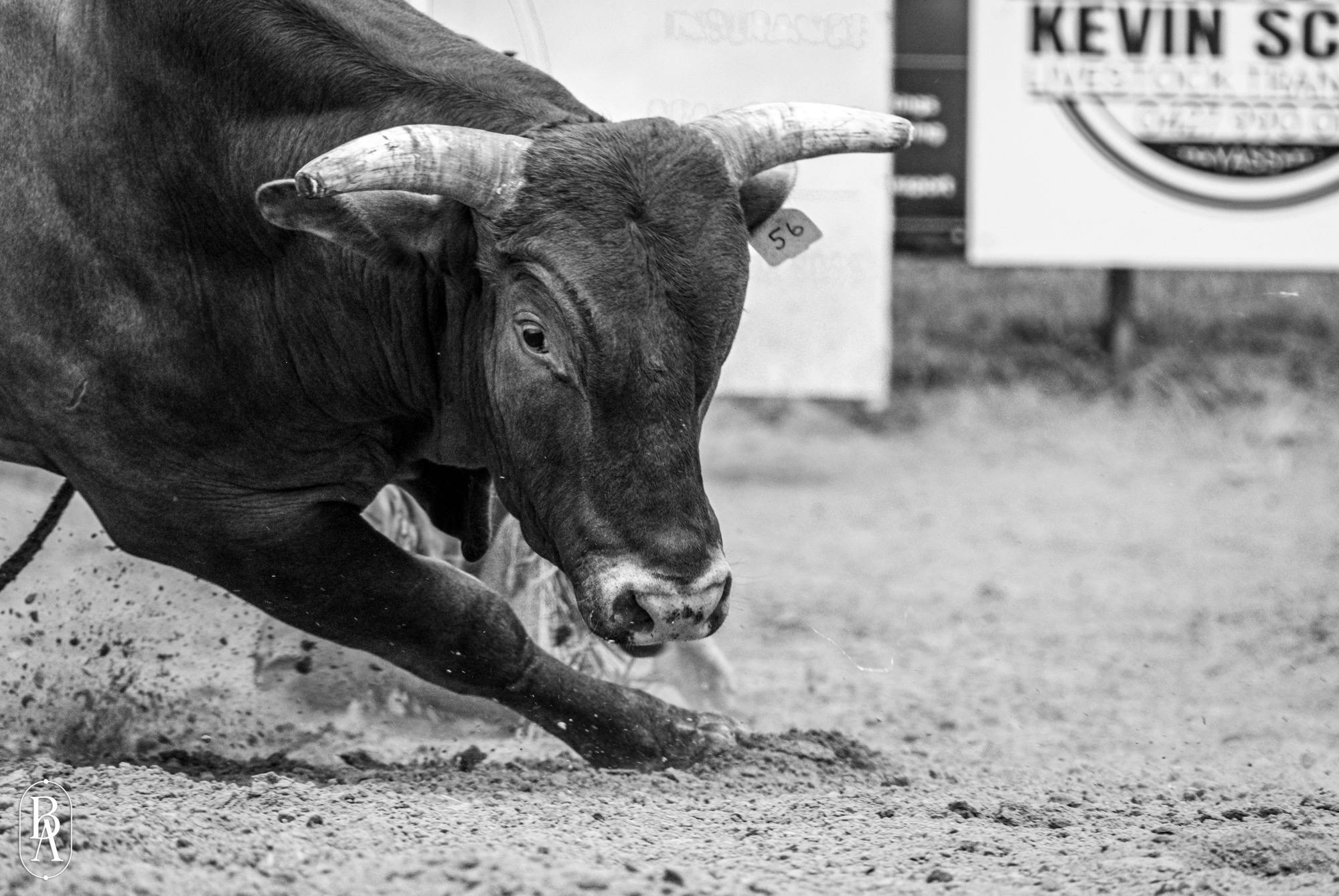 Bucking Bulls Australia Yass River Co Classic