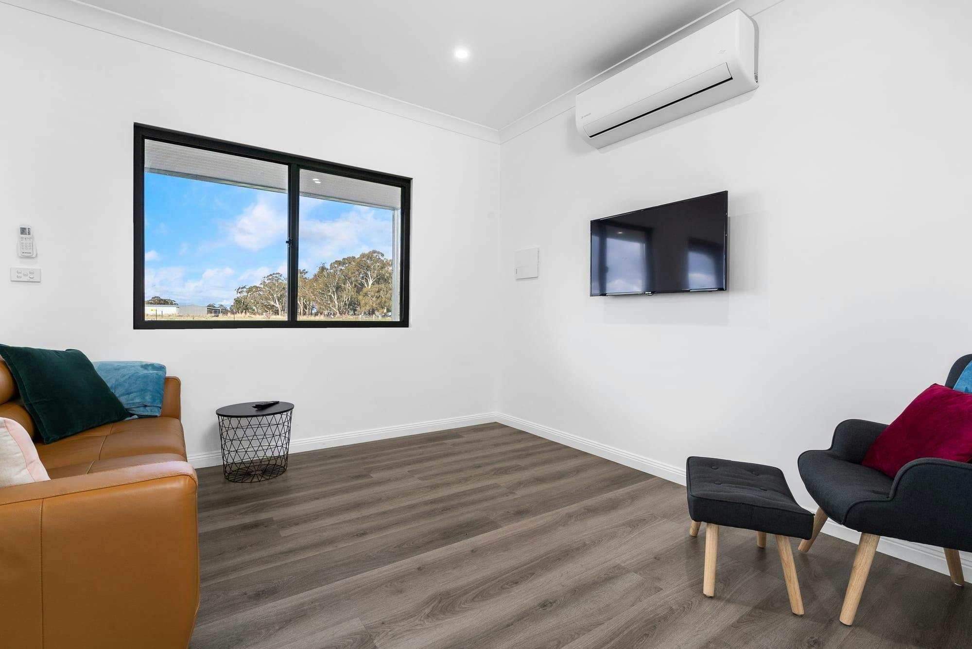 Couch, armchair and tv