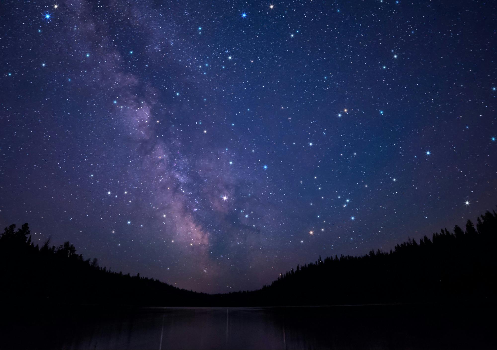 Tamar Valley Film Festival - Early Bird Offer image