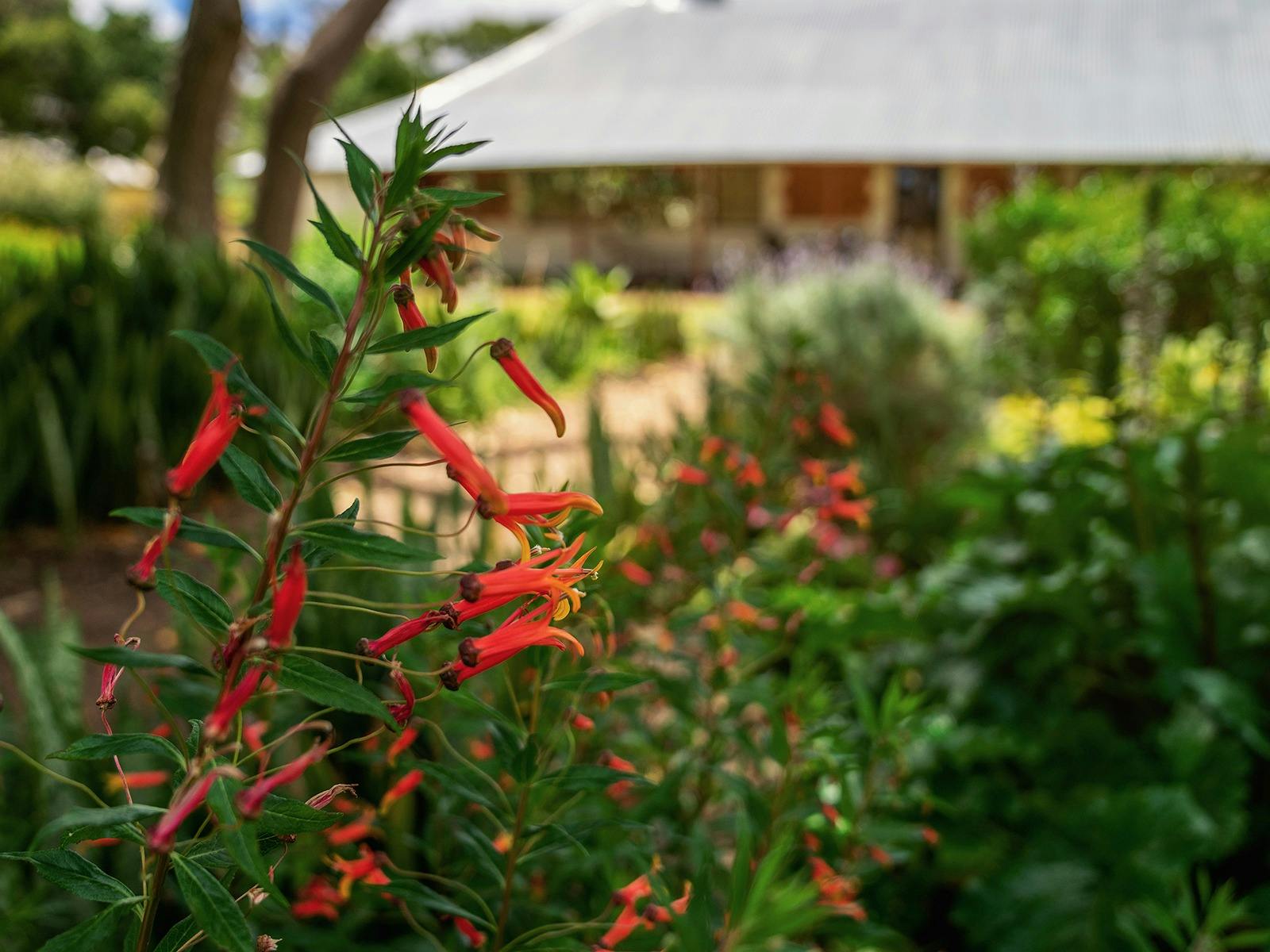 Gardens with heritage building in the background