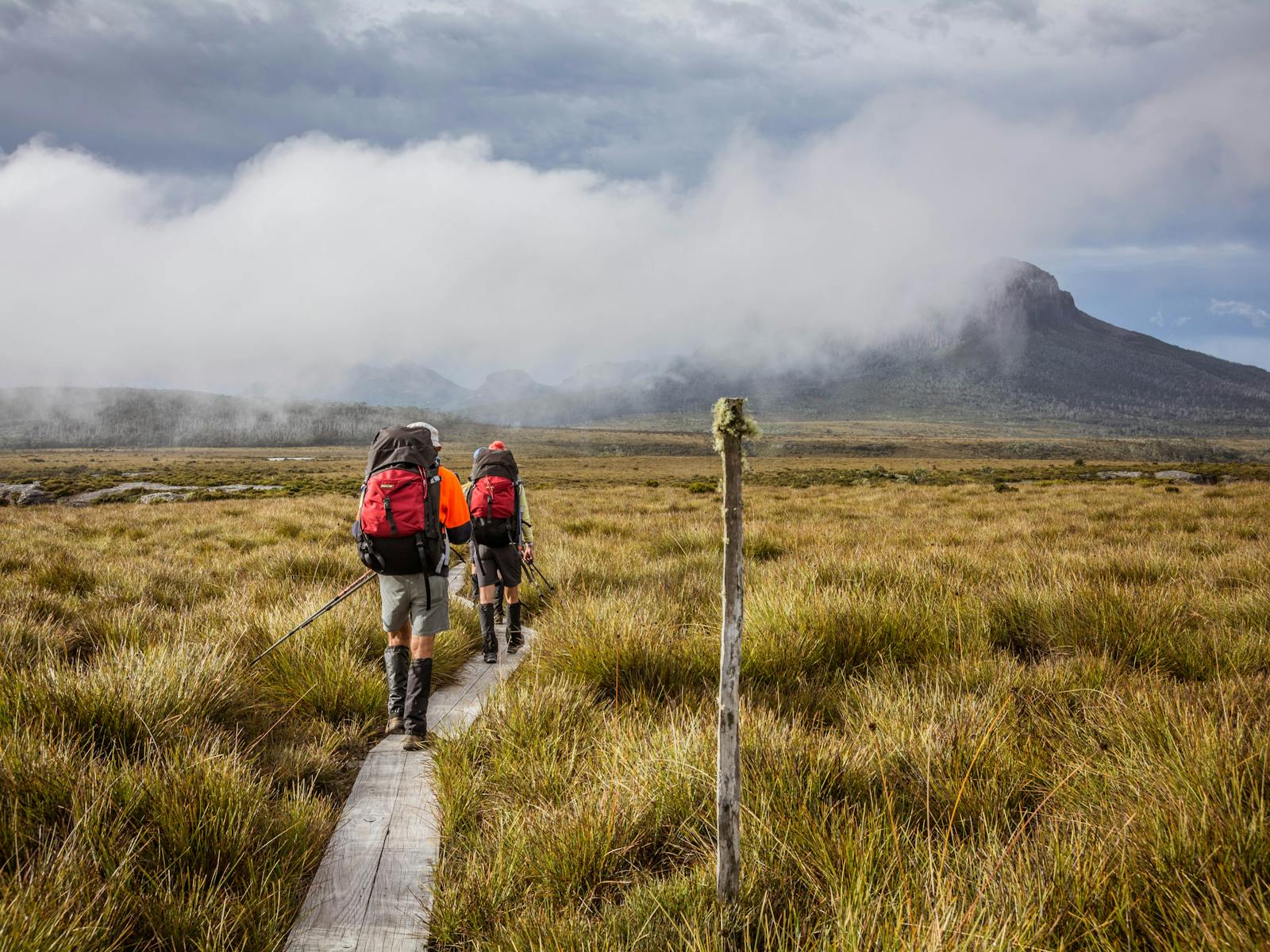 Trek Tasmania