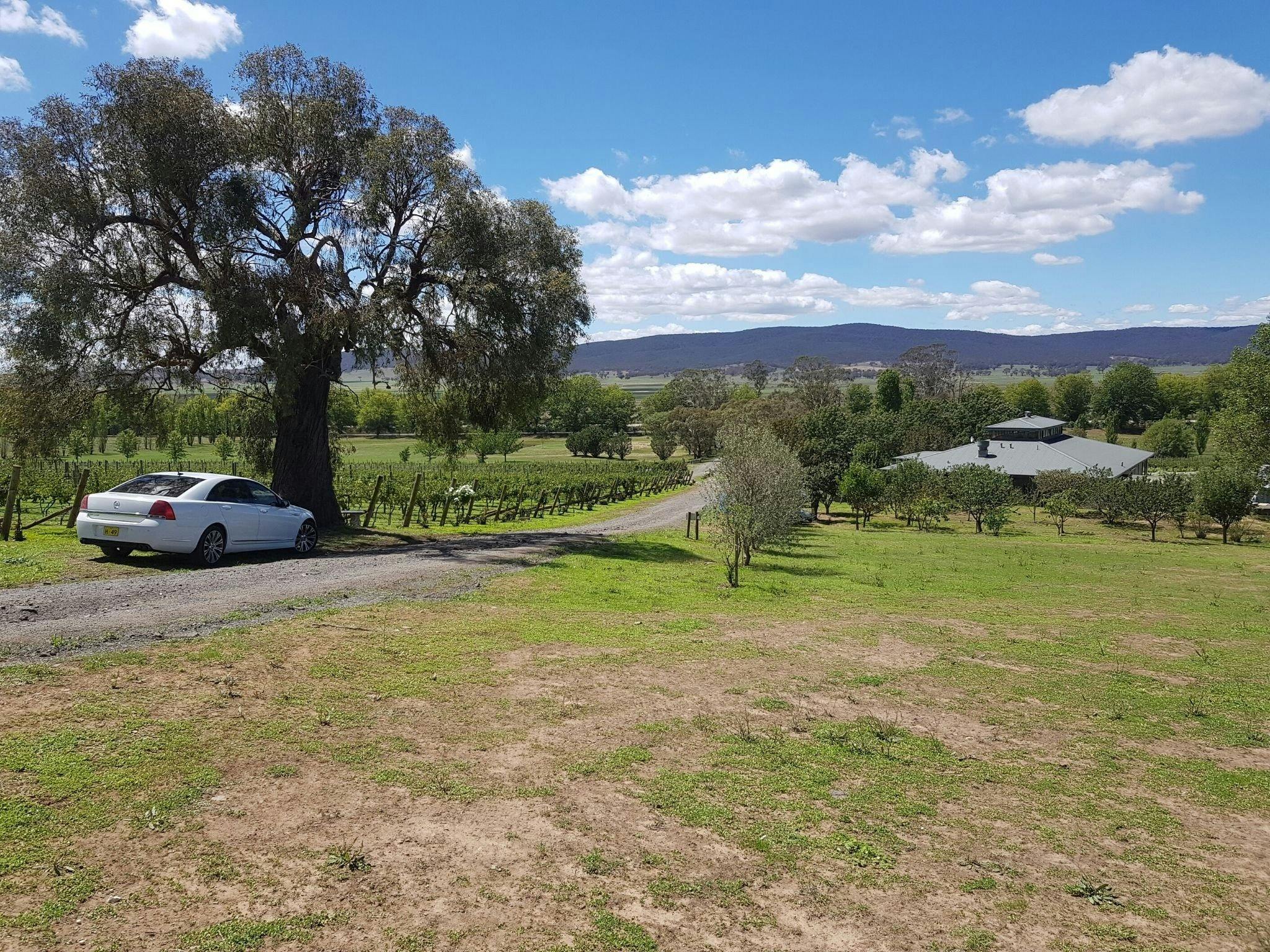 Lake George Winery offers a wonderful vista and vast surrounds to enjoy.