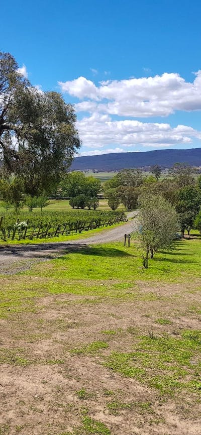 Lake George Winery offers a wonderful vista and vast surrounds to enjoy.