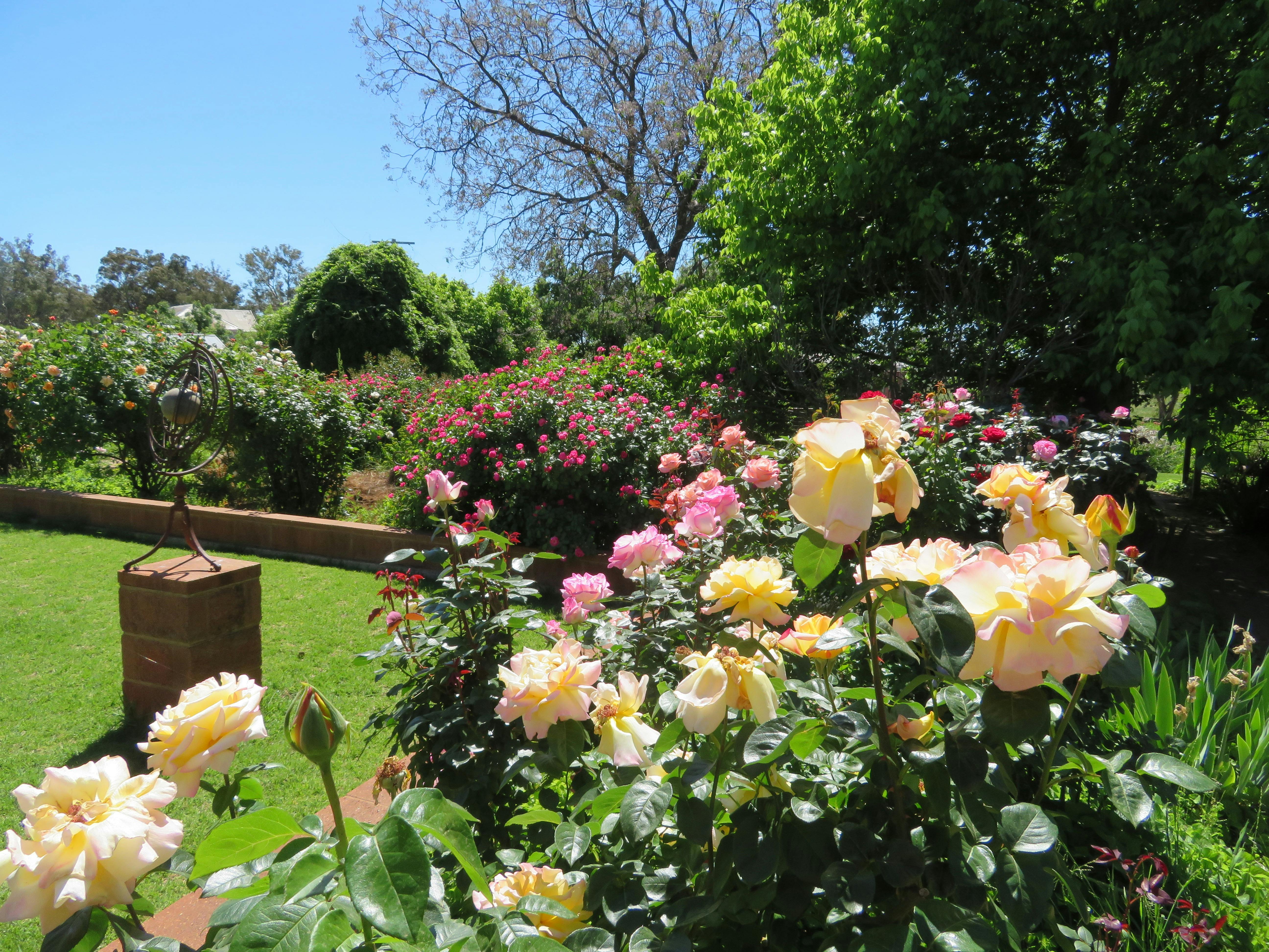 Hazeldean Quandary near Temora