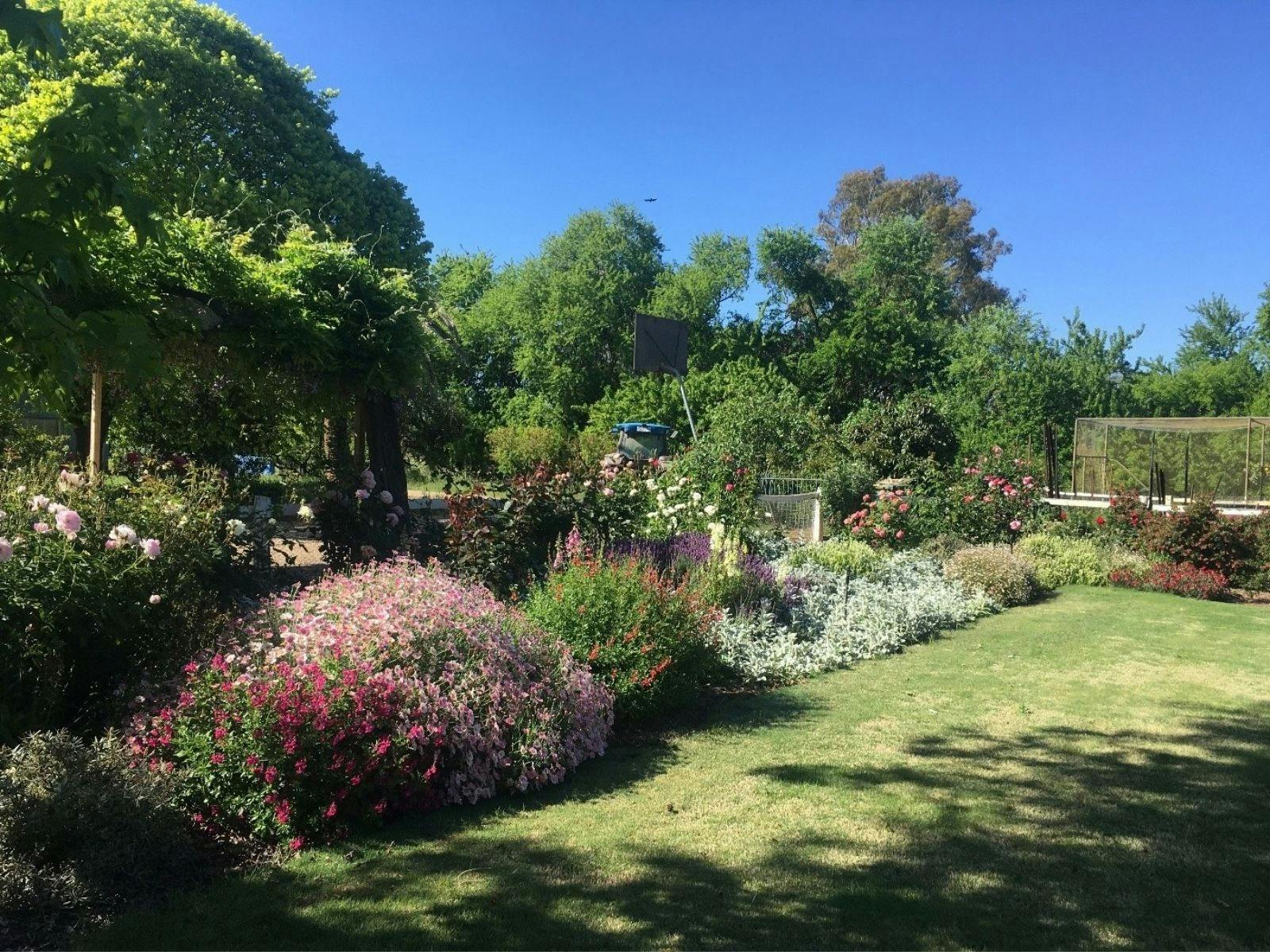 cottage garden with lawn