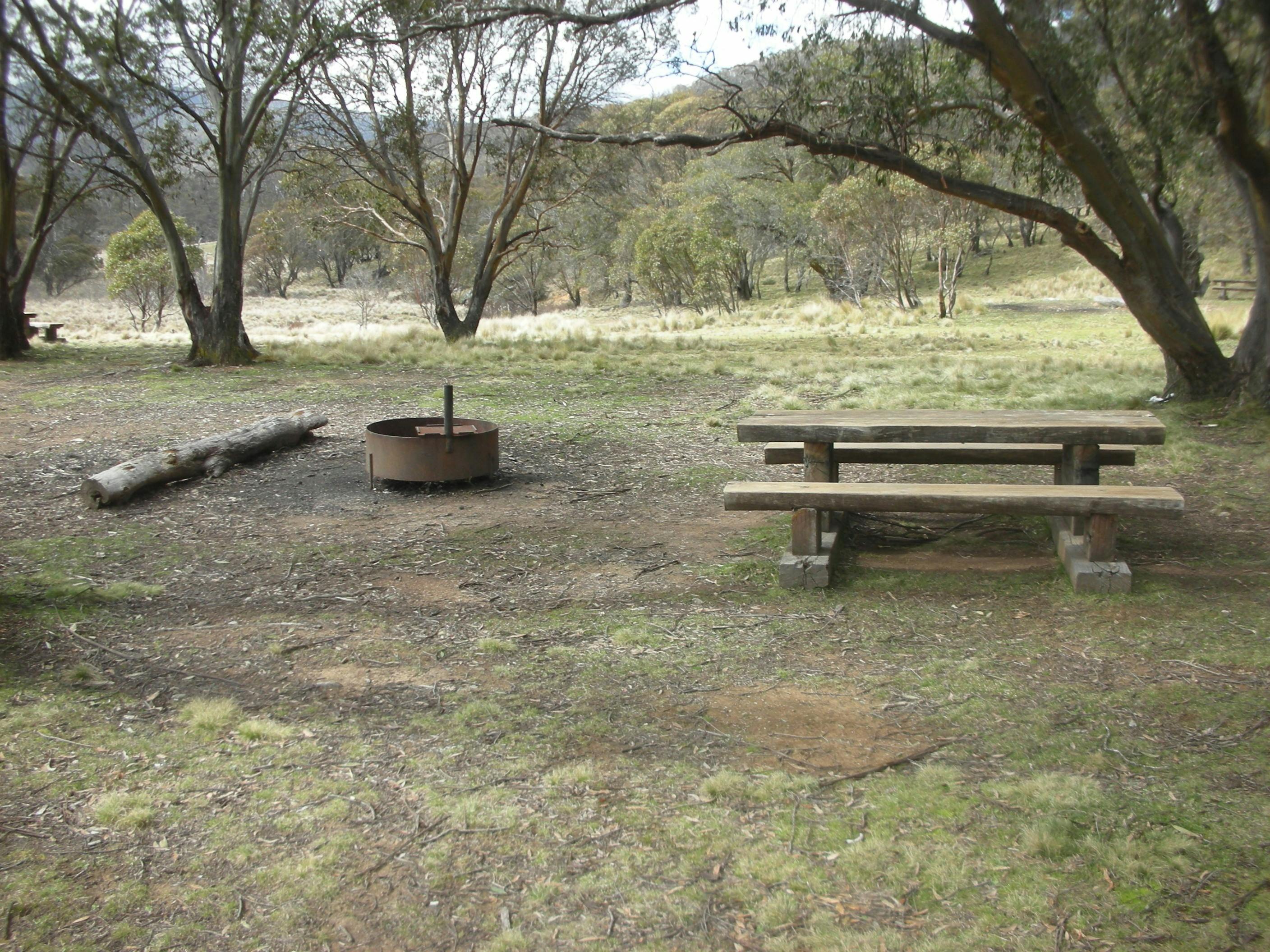 Photo of picnic table and fire pit