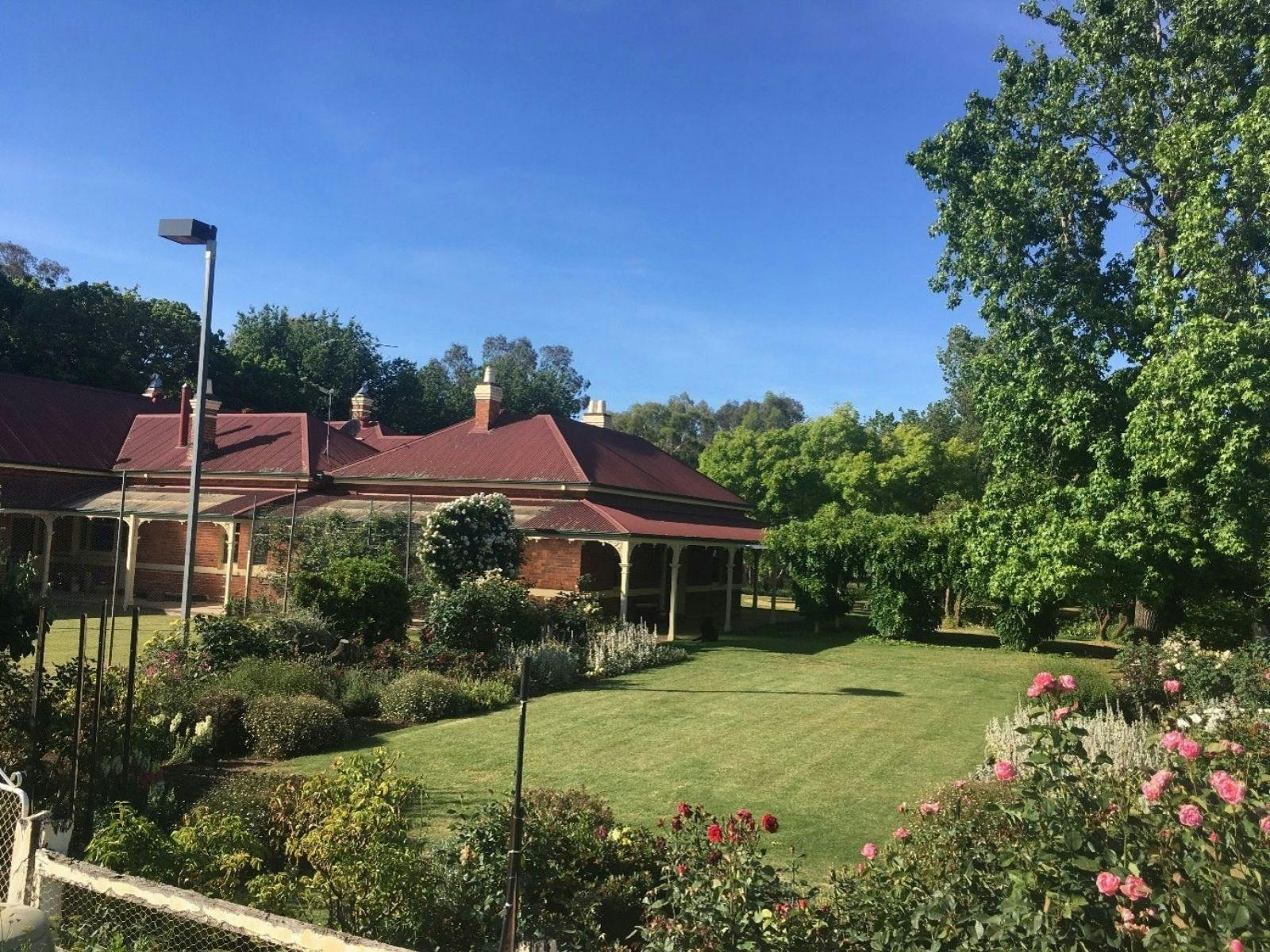 House with lawn and border garden