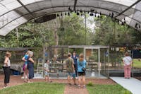 Inside big flying fox cage