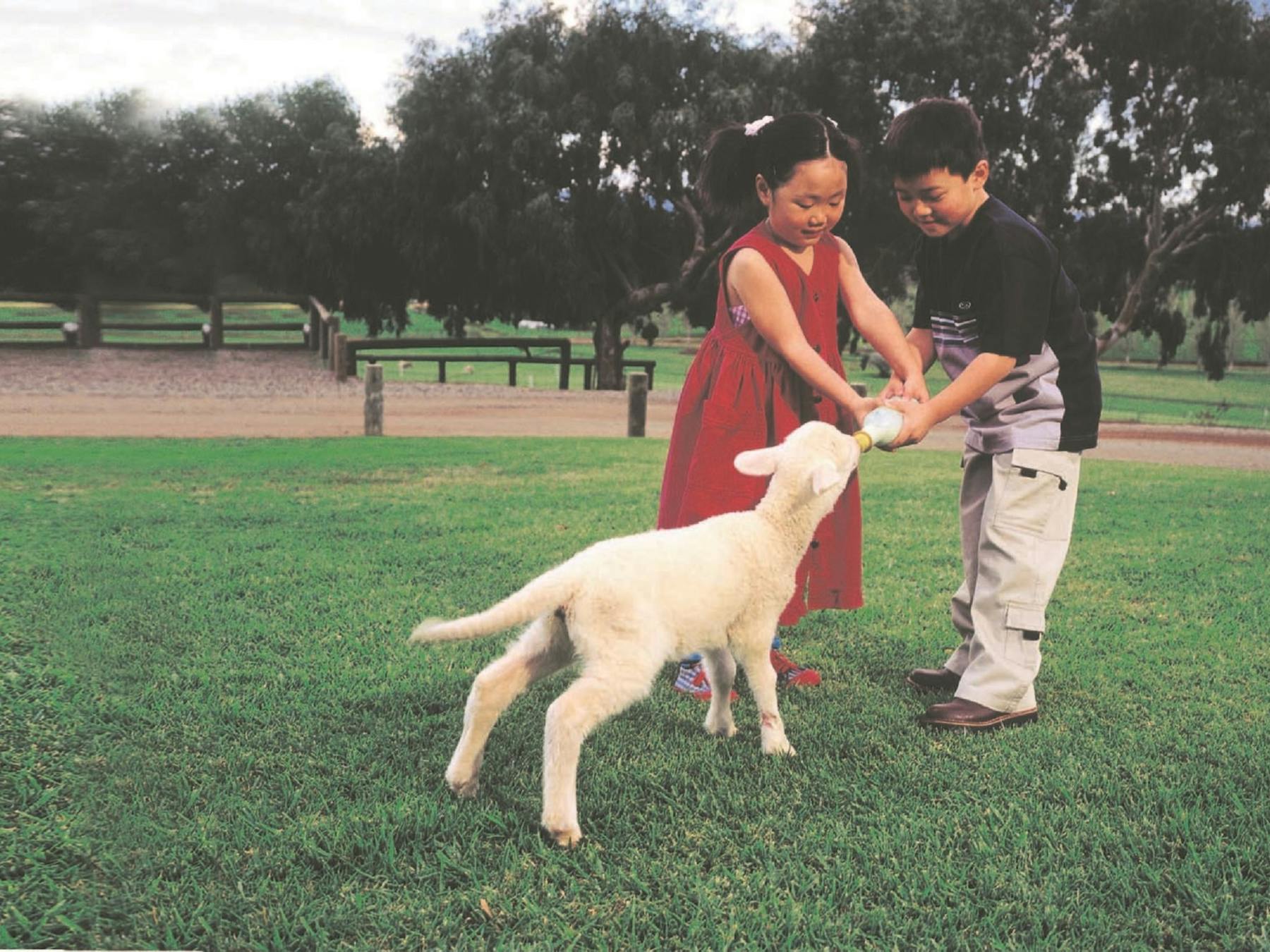 Mundijong, Western Australia