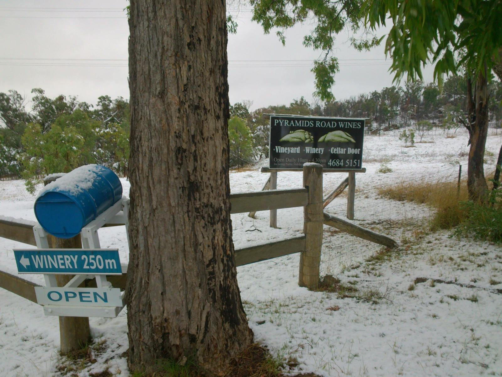 Pyramids Road Wines