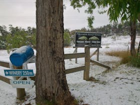 snow in the driveway