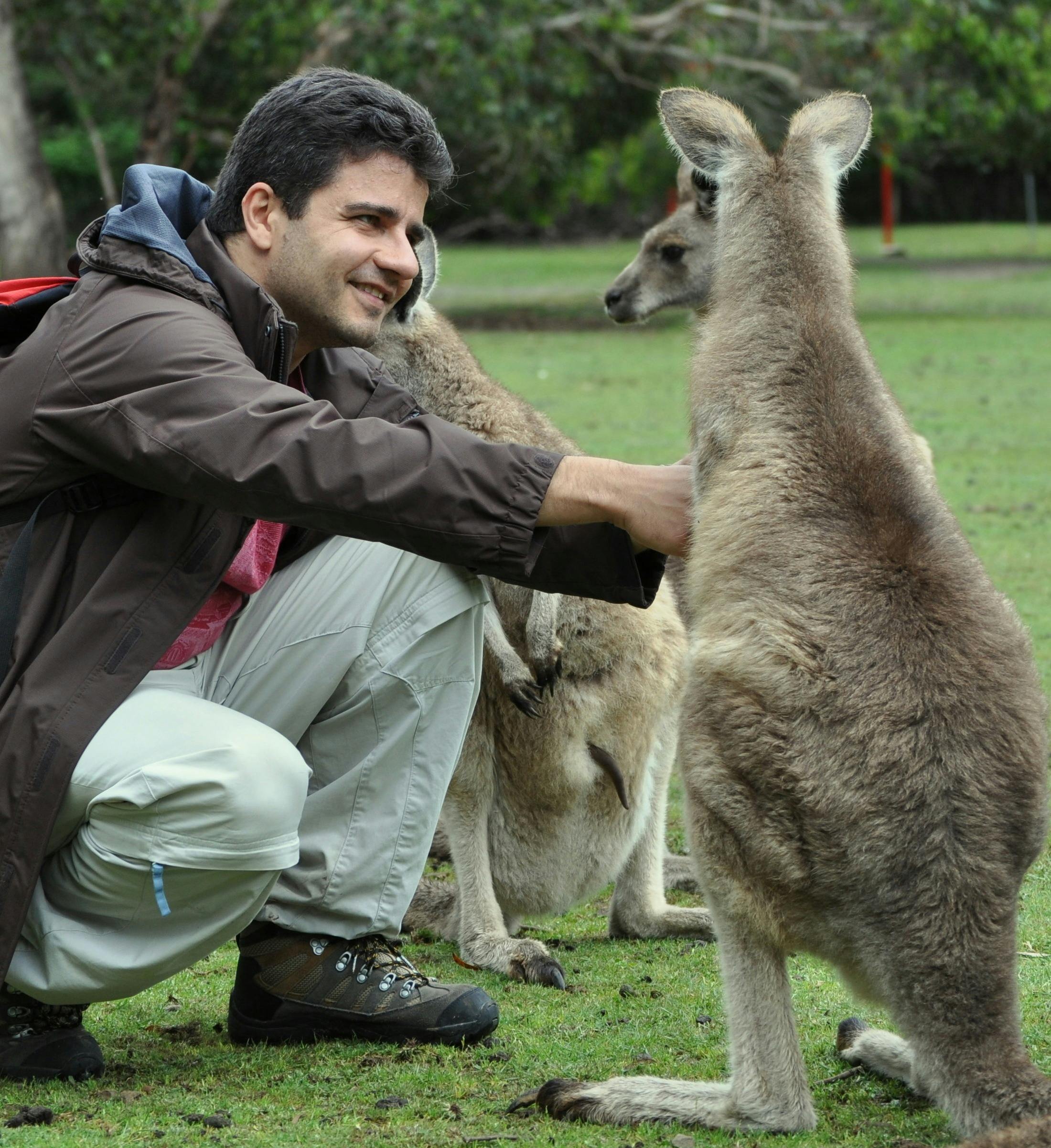 Friendly kangaroos