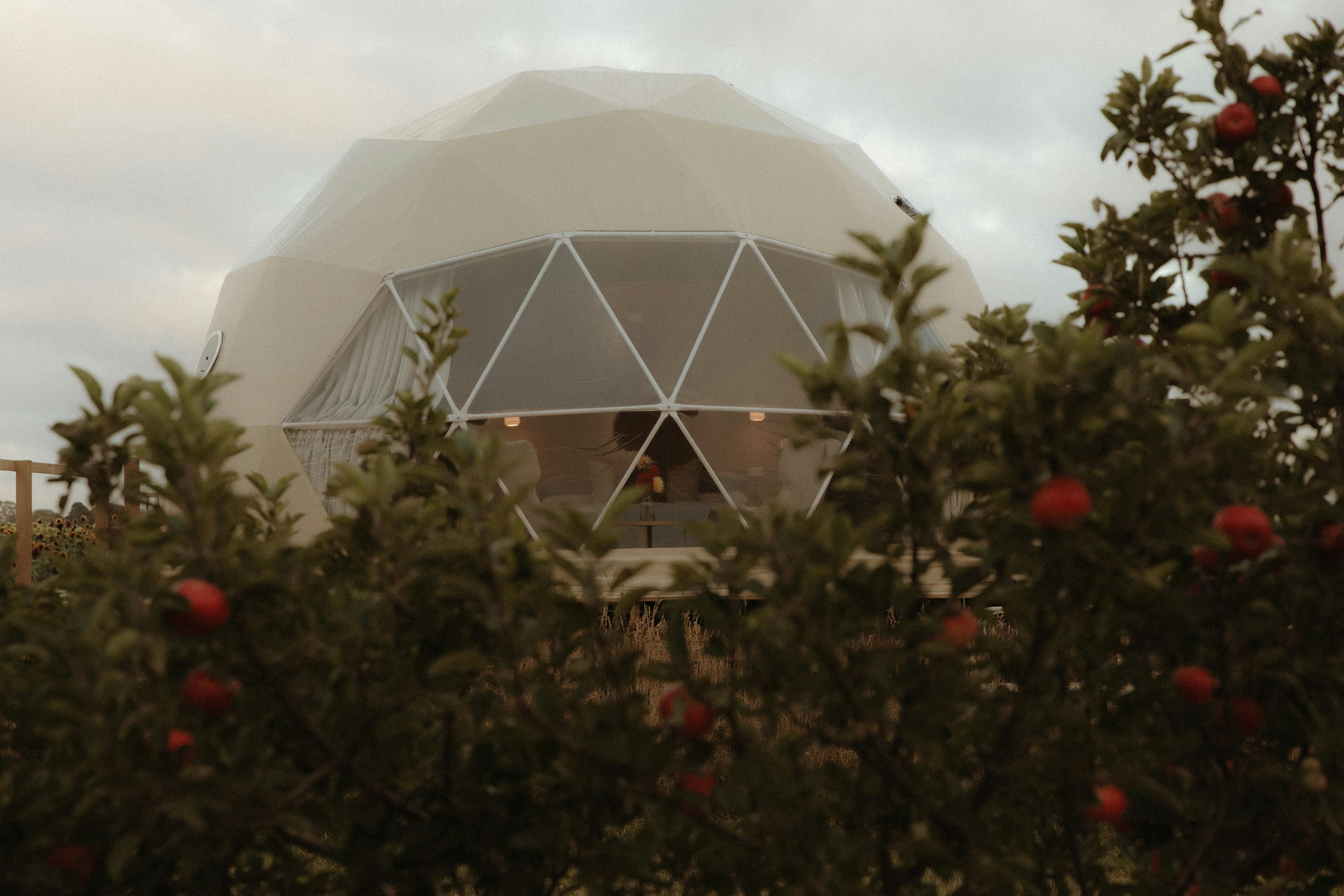 Mount Gnomon Farm