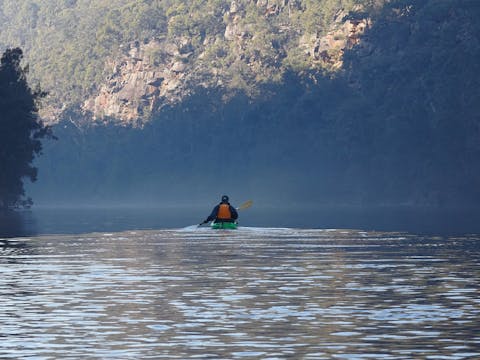 Sydney harbour guided paddle with gourmet food