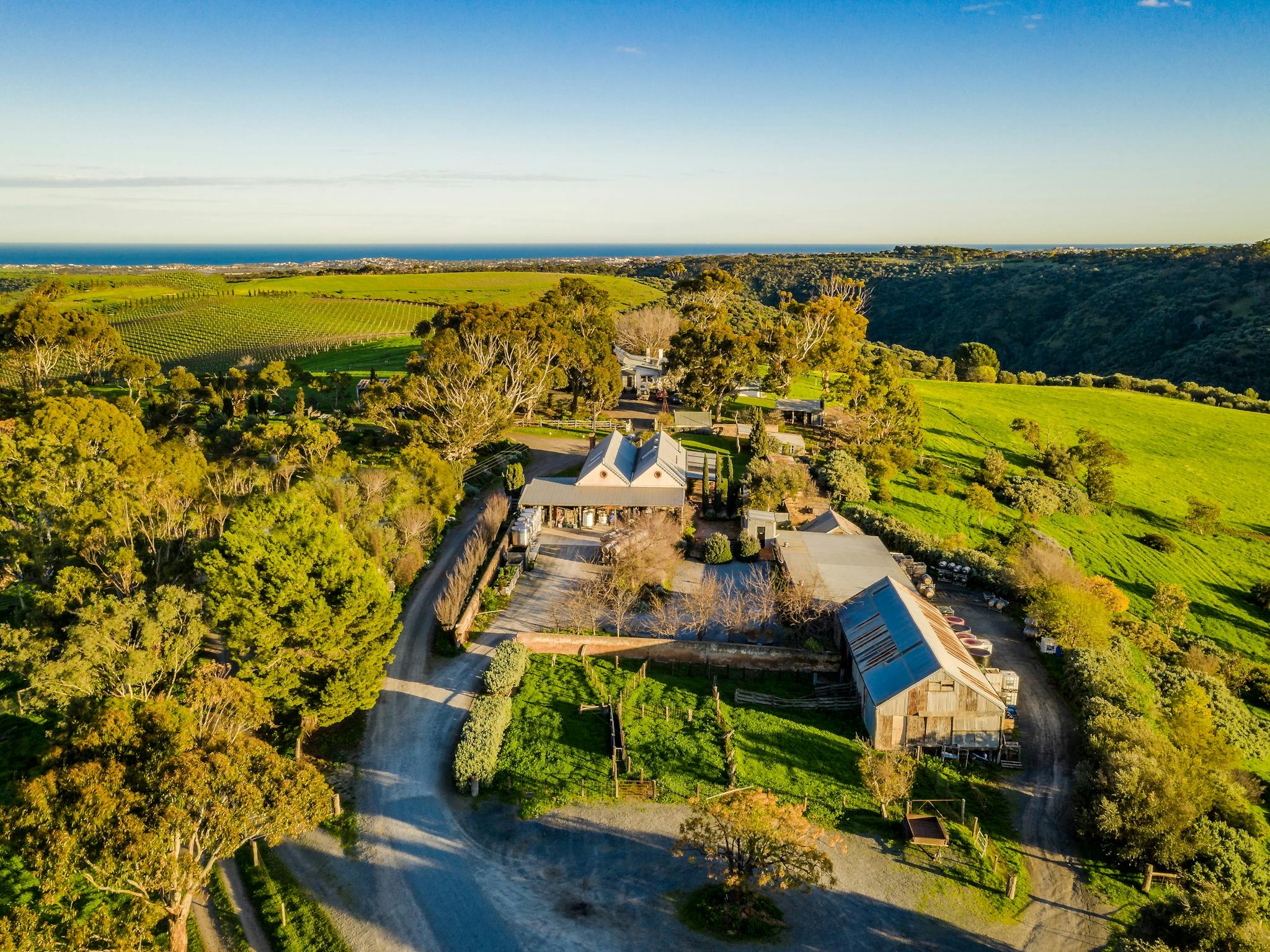 An aerial view of Samuel's Gorge winery, cellar door and vineyard