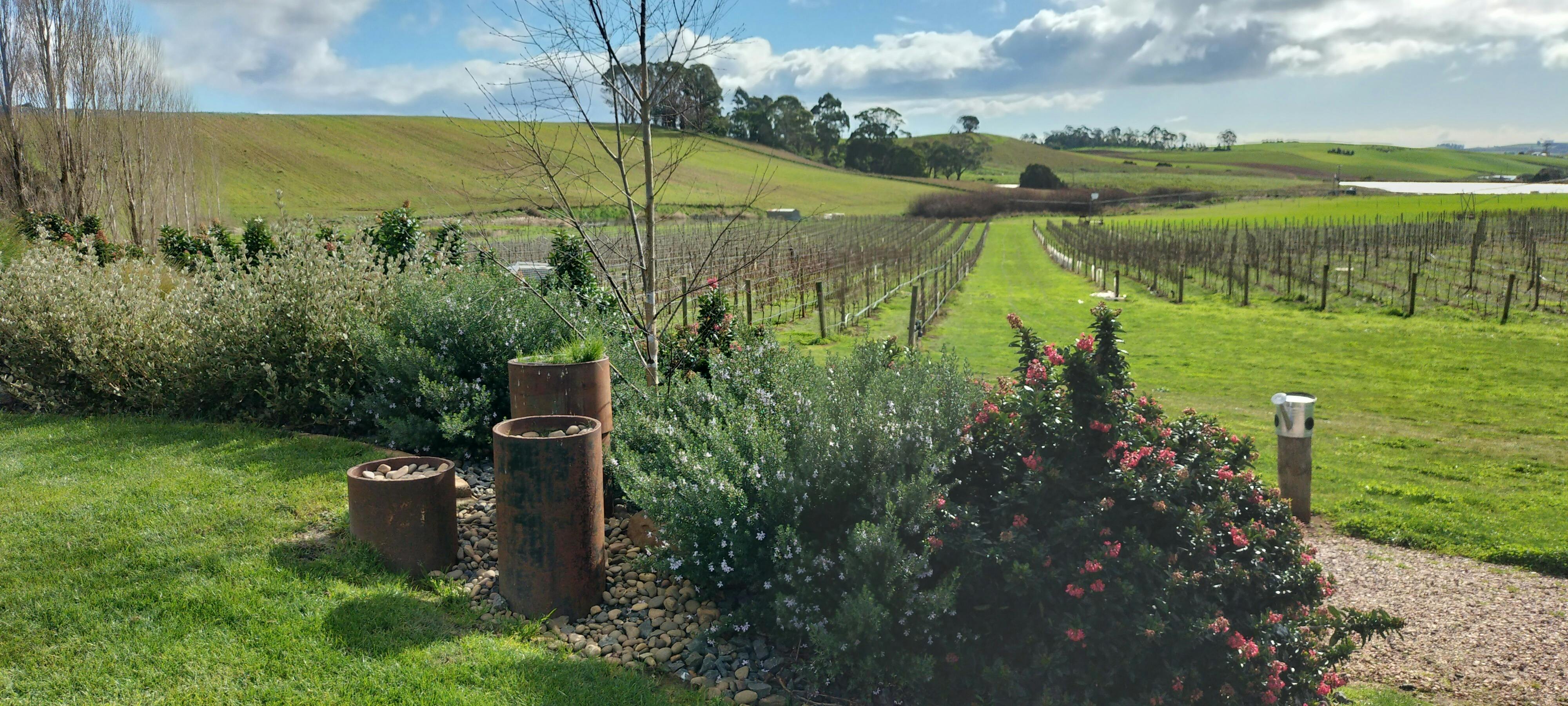 Eastford Creek Vineyard