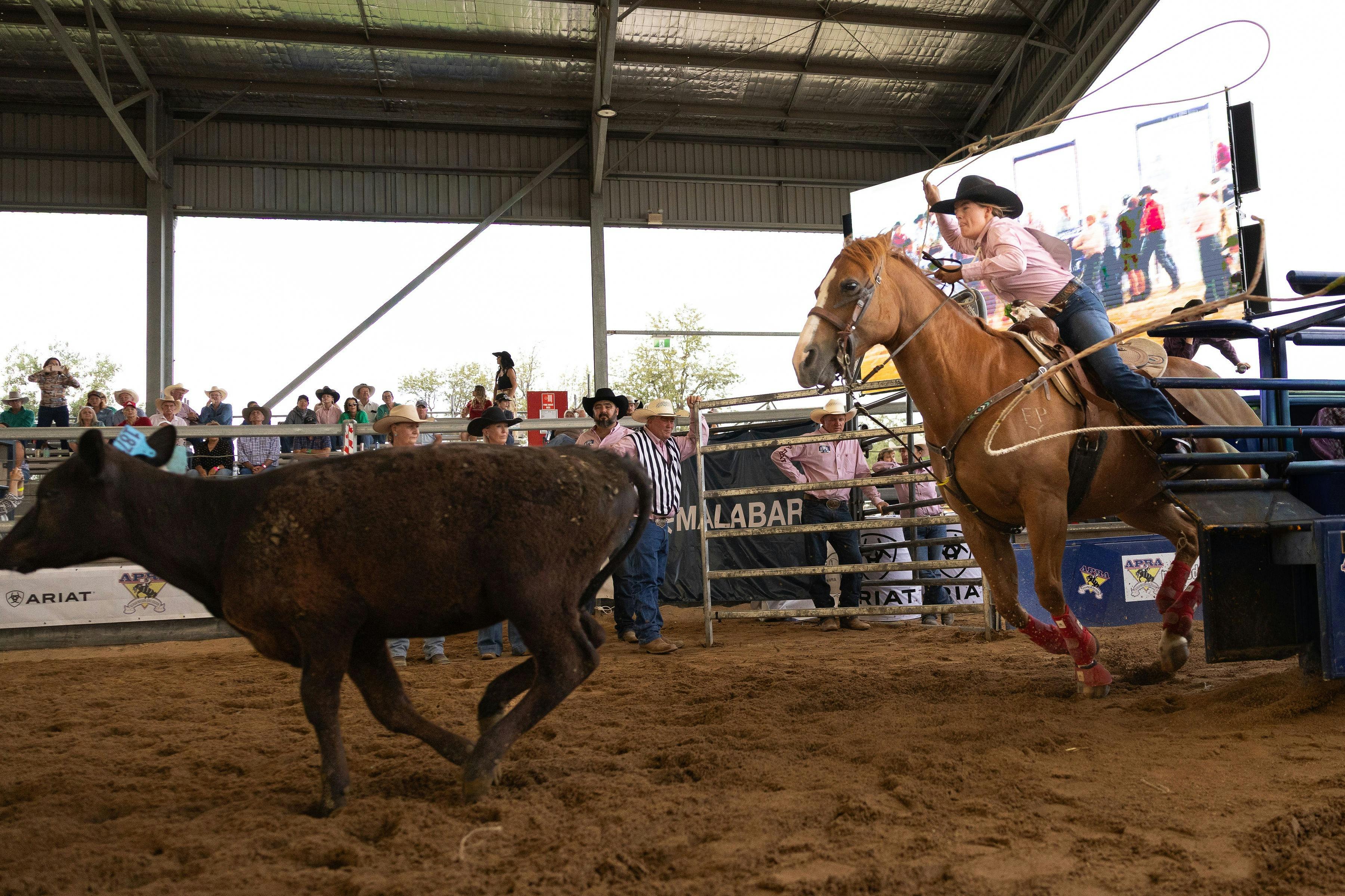 Rodeo Breakaway Roping