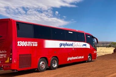 Greyhound Australia (Alice Springs)