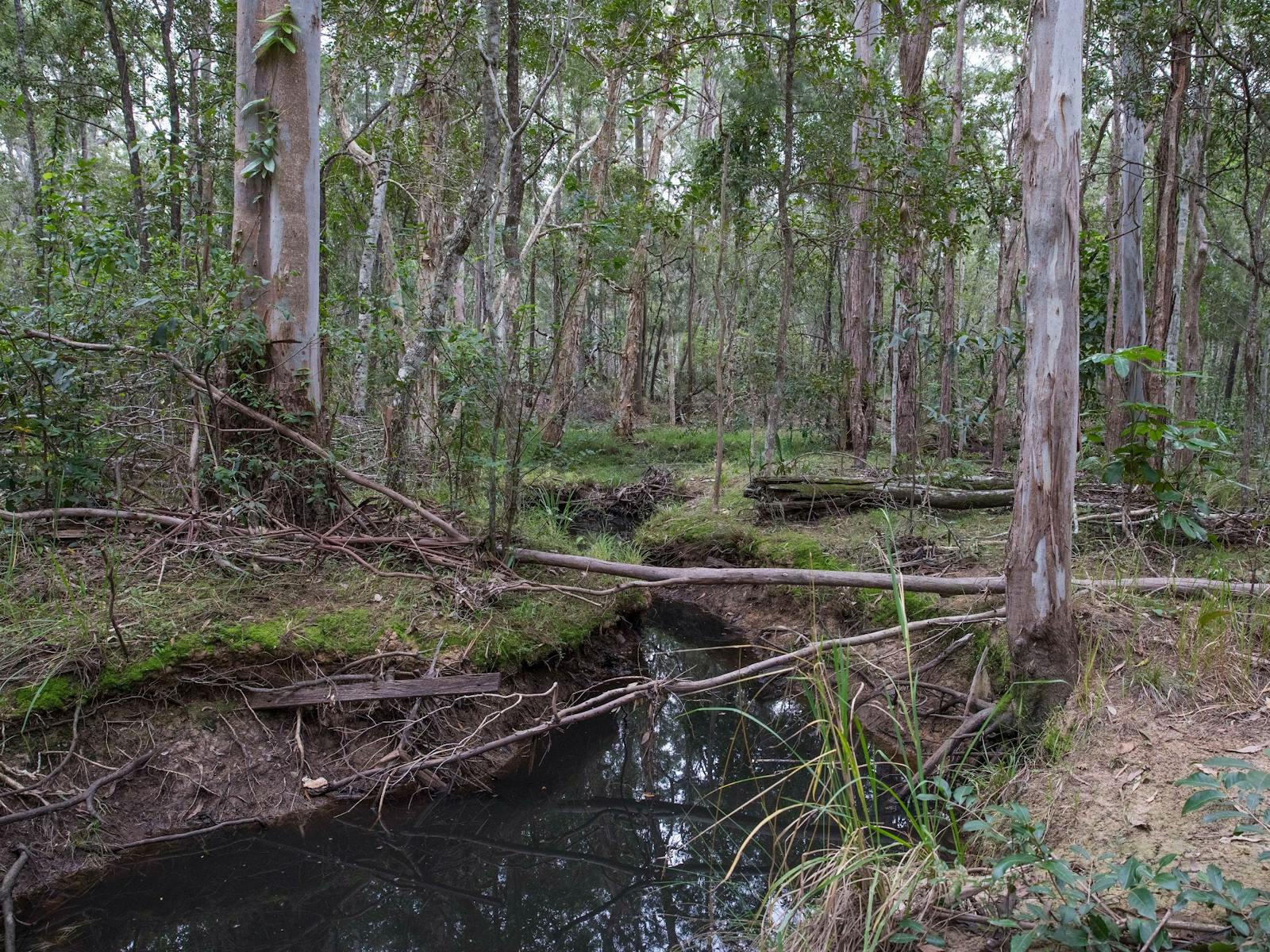 Sheepstation Creek Conservation Park