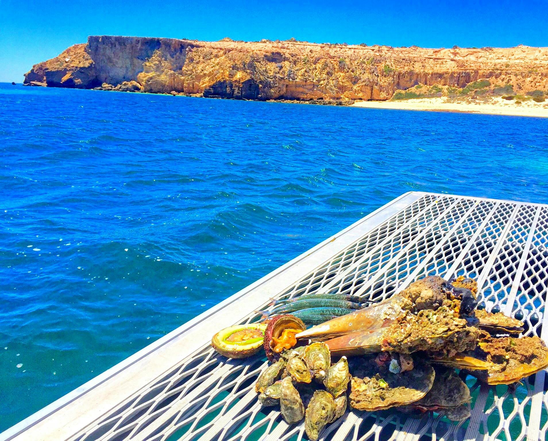 seafood harvest