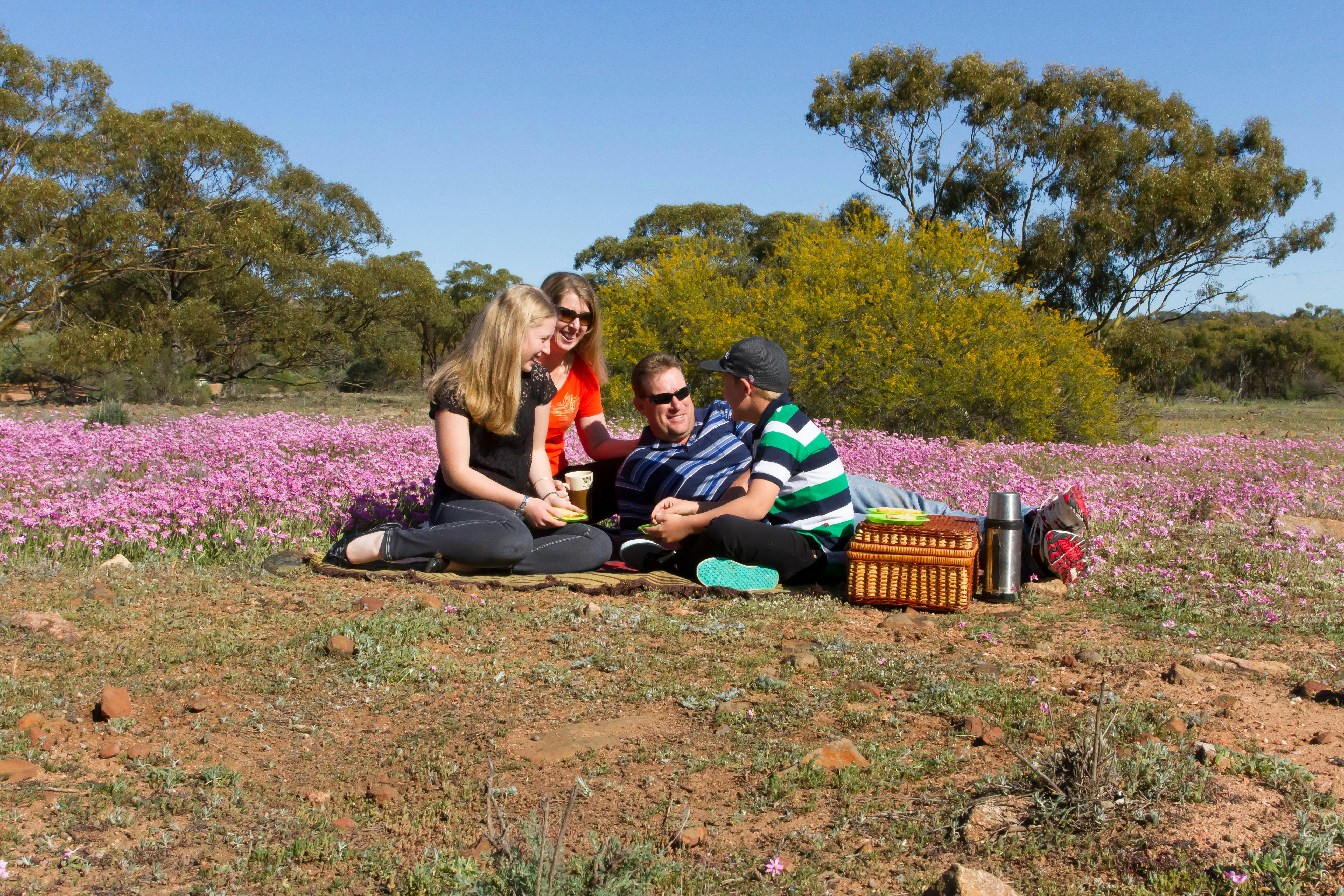 Wheatbelt Way Self Drive Trail