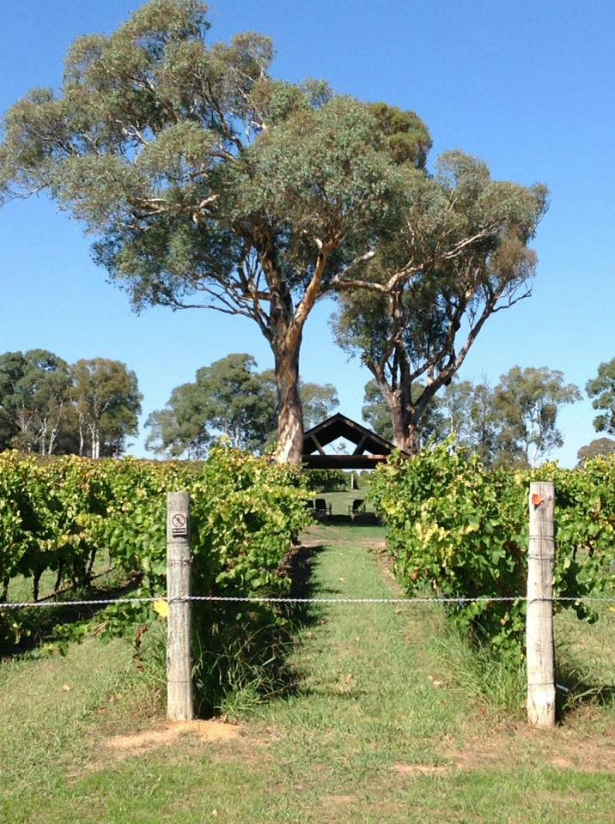 Image for Canberra Winery Tours