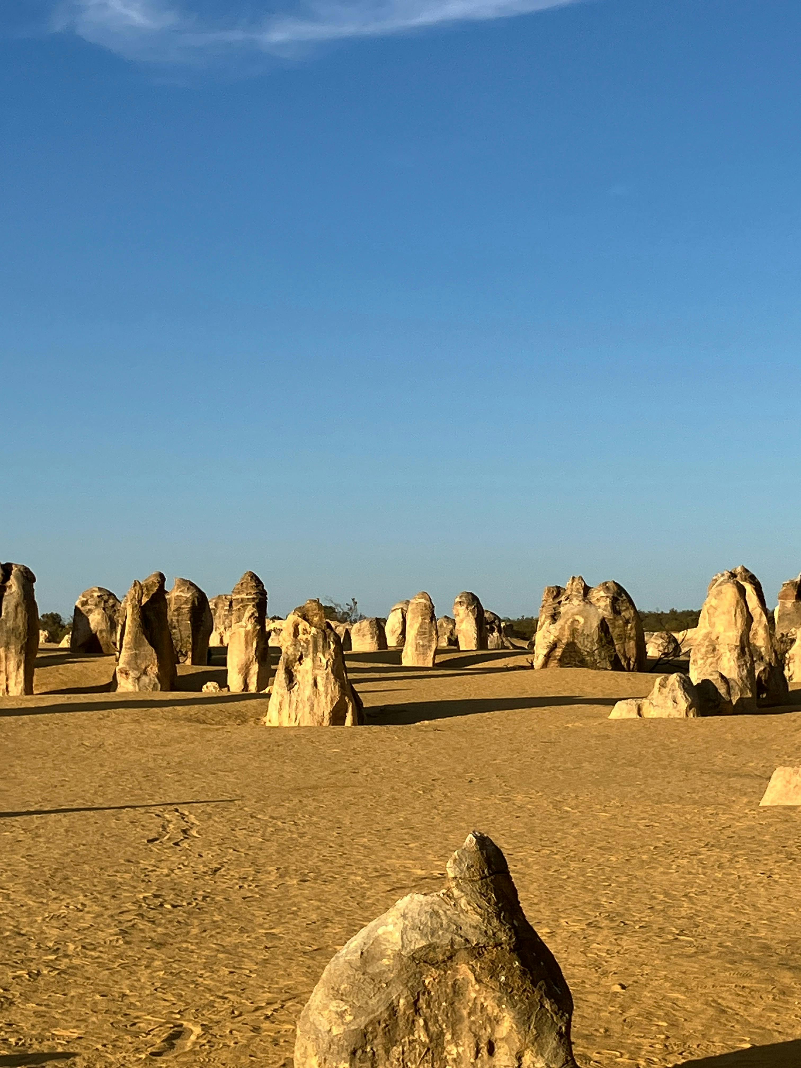 Turquoise Coast and Pinnacles Desert, Private Day Tour.
