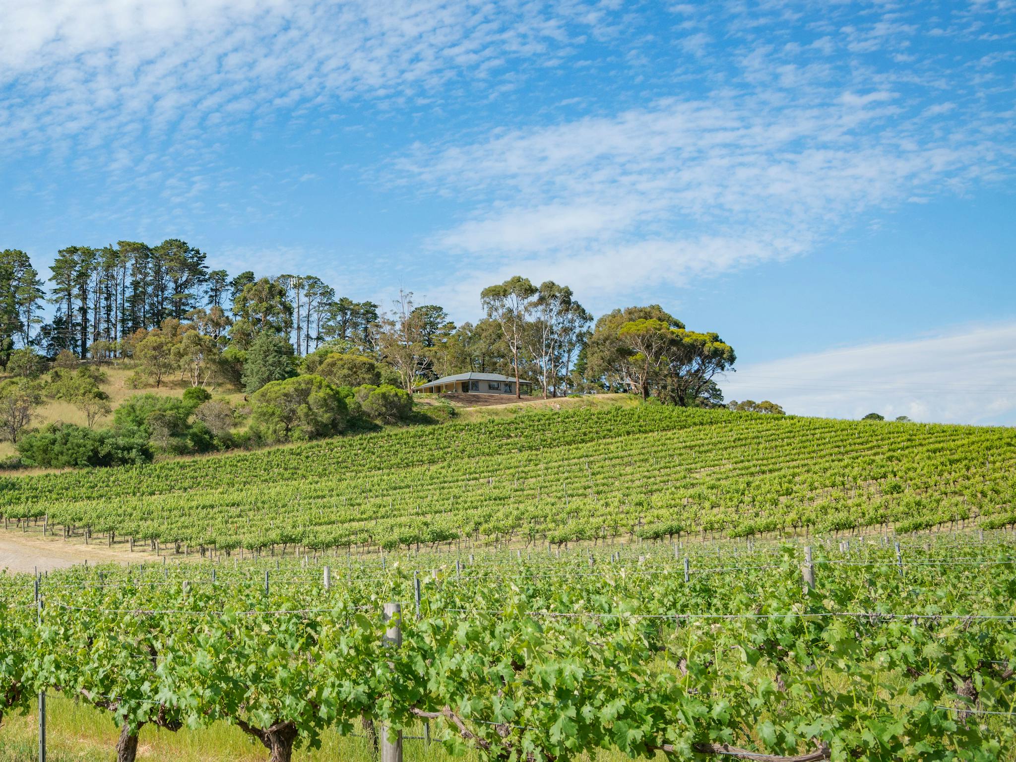 McLaren Vale Getaways - Hillside House