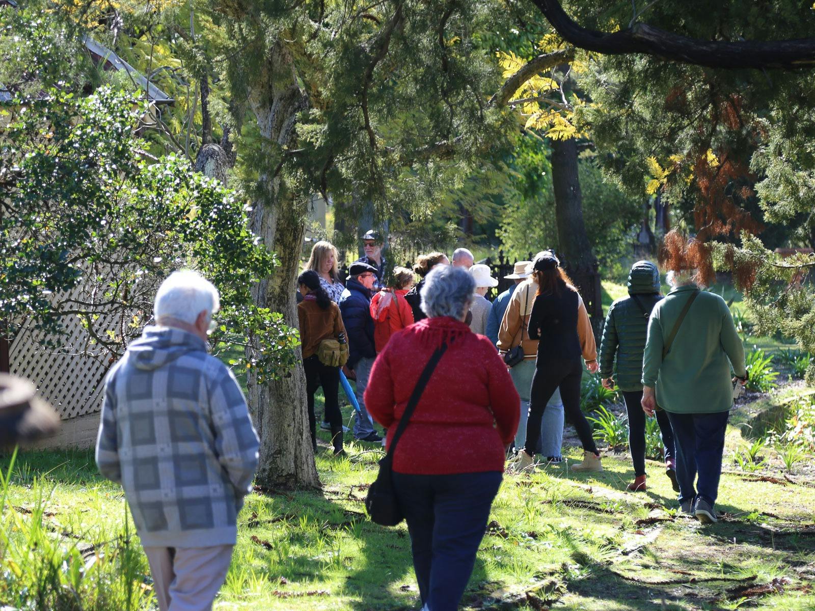 Group walking through a serene, tree-lined cemetery during a guided Rookwood Cemetery tour