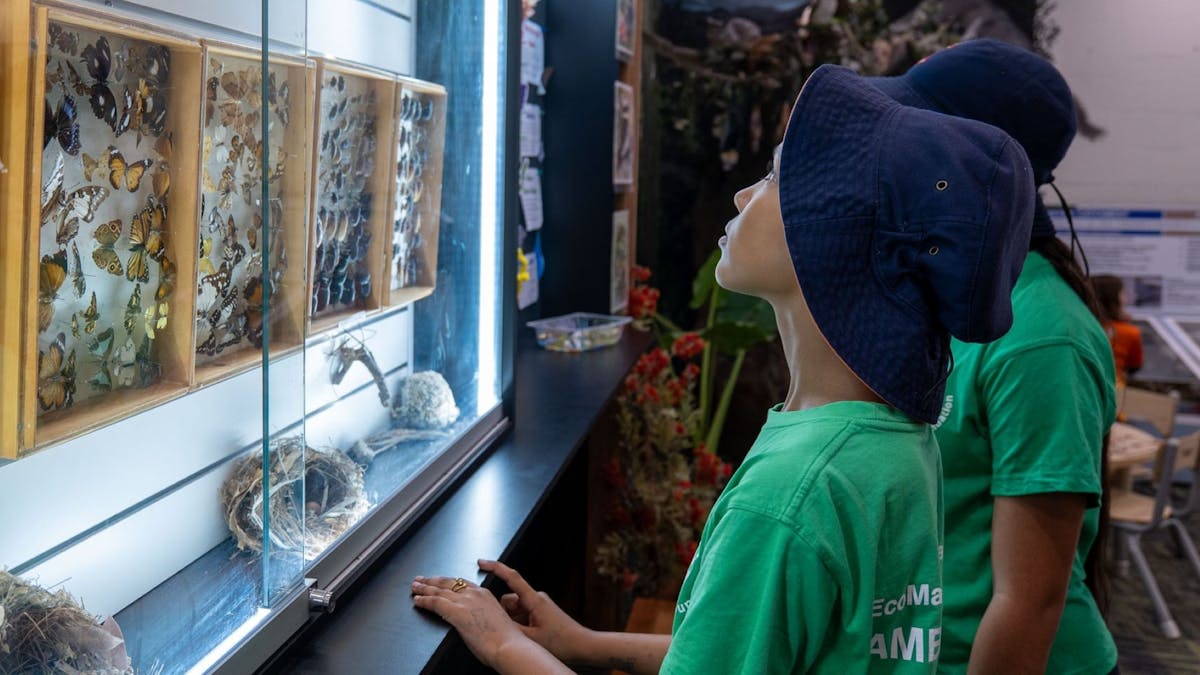 Children looking at display at Caboolture Regional Environment Education Centre