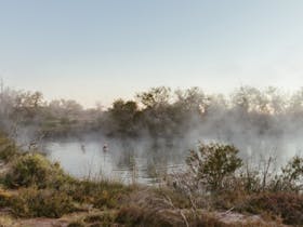 Steam rises up from Dalhousie Springs