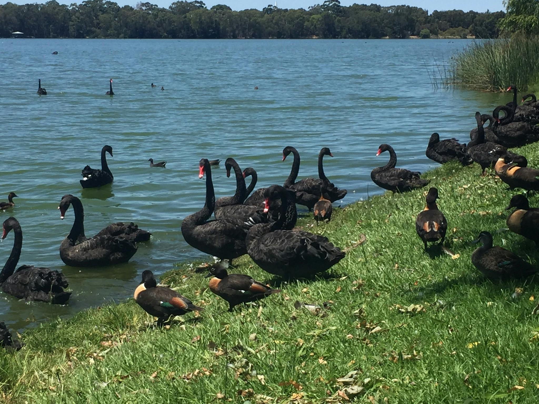 WA NT Tours, Willagee, Western Australia